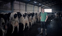 How one farm is leading the charge in dairy herd performance